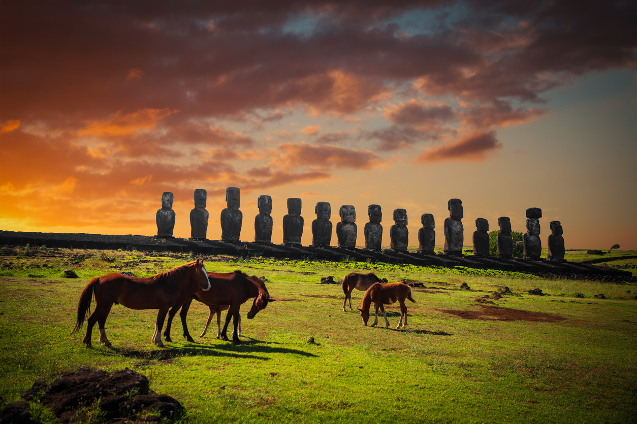 Horses on Easter Island