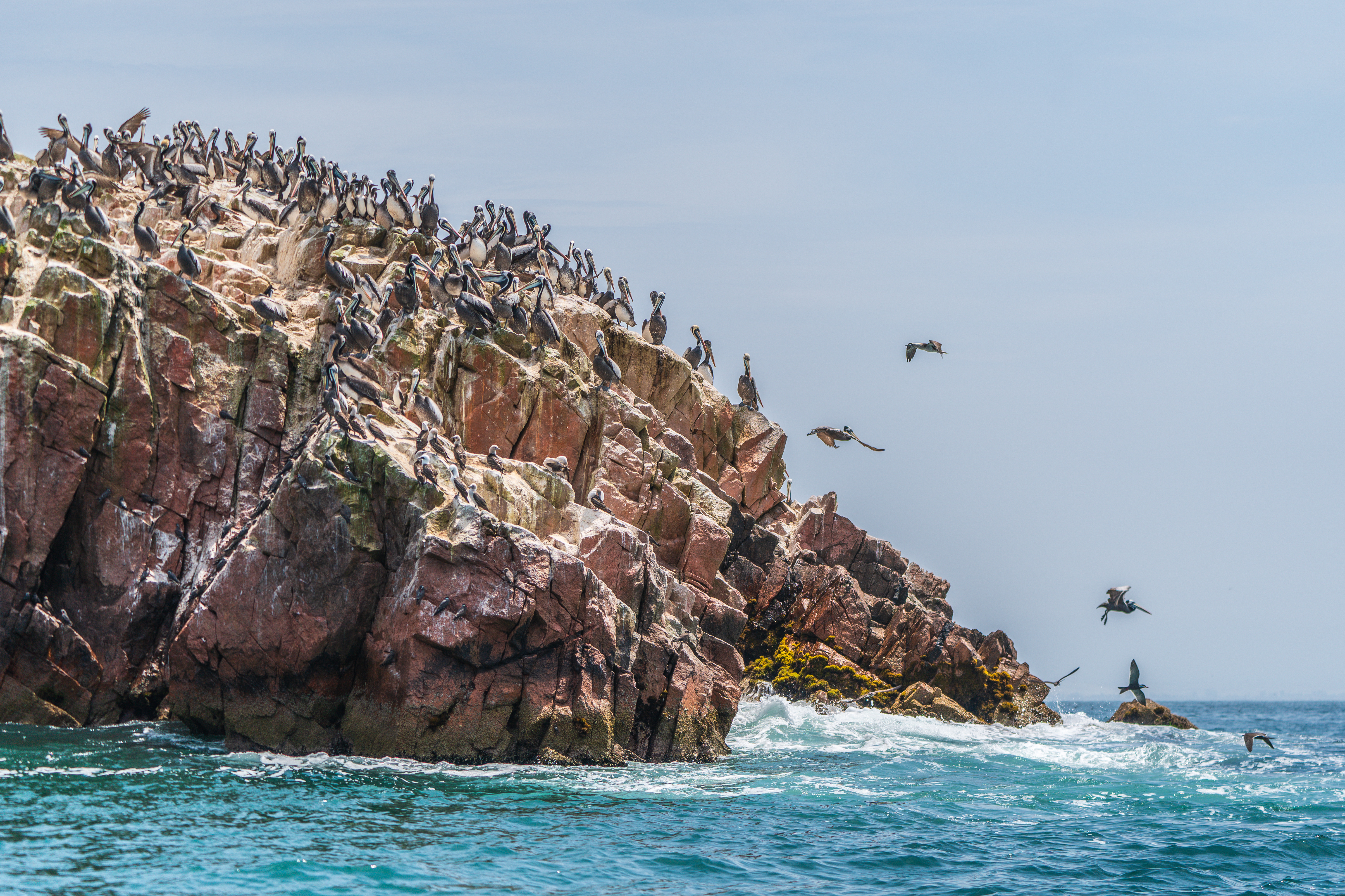 Peru, Paracas