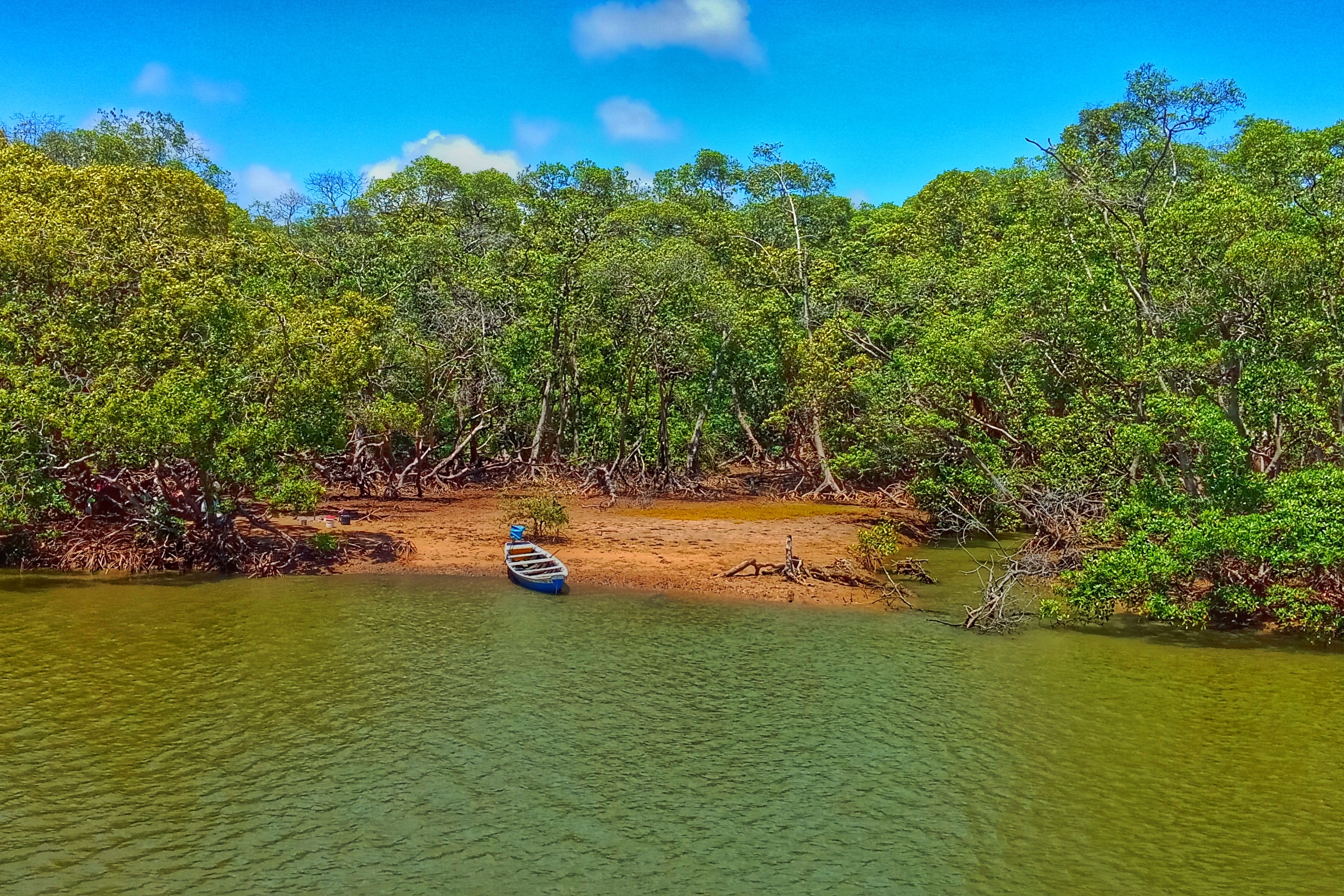 Brazil_Mangrove, Boat Delta do Parnaíba