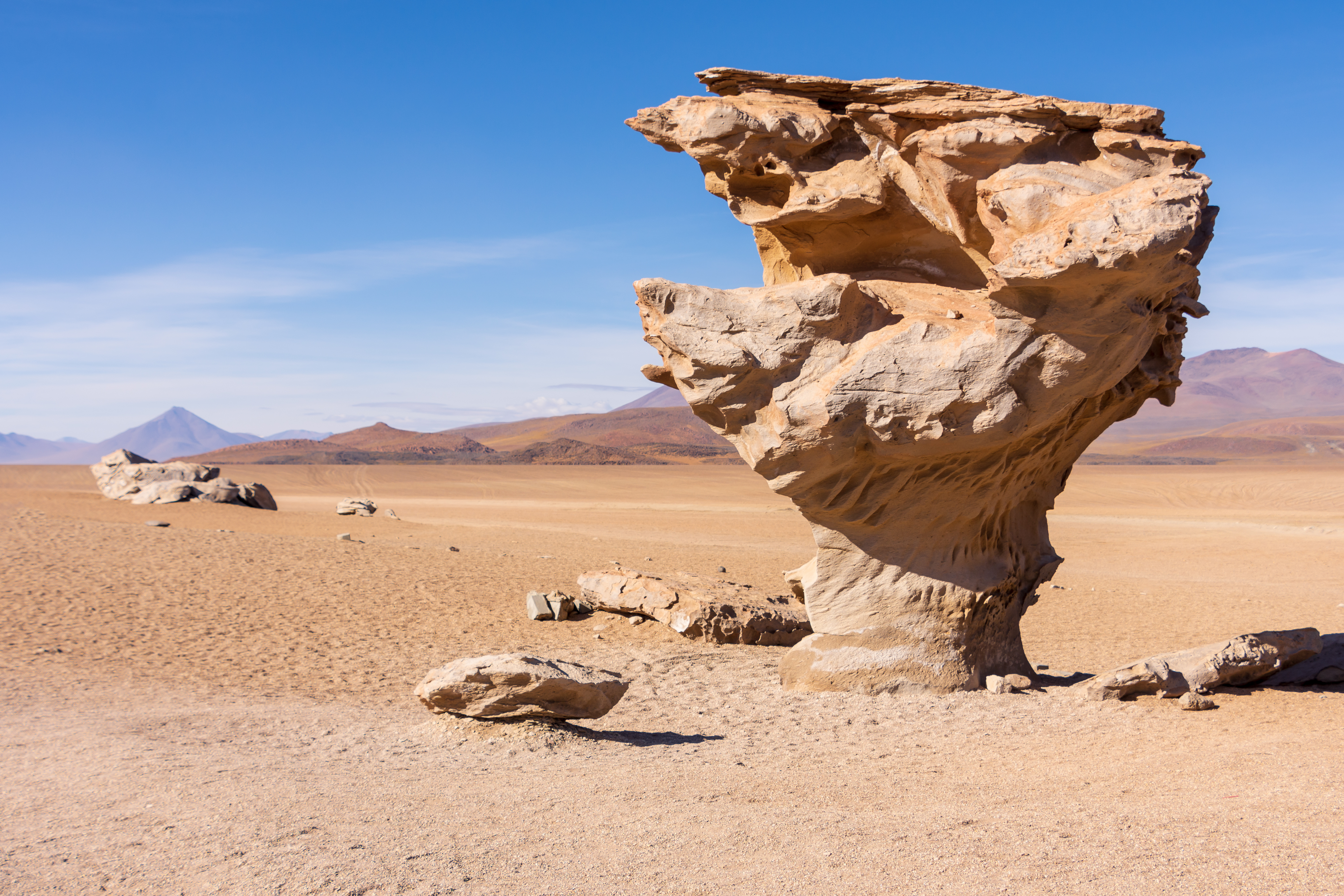 Bolivia_Stone_Tree_Rock_Formation_Siloli_Desert