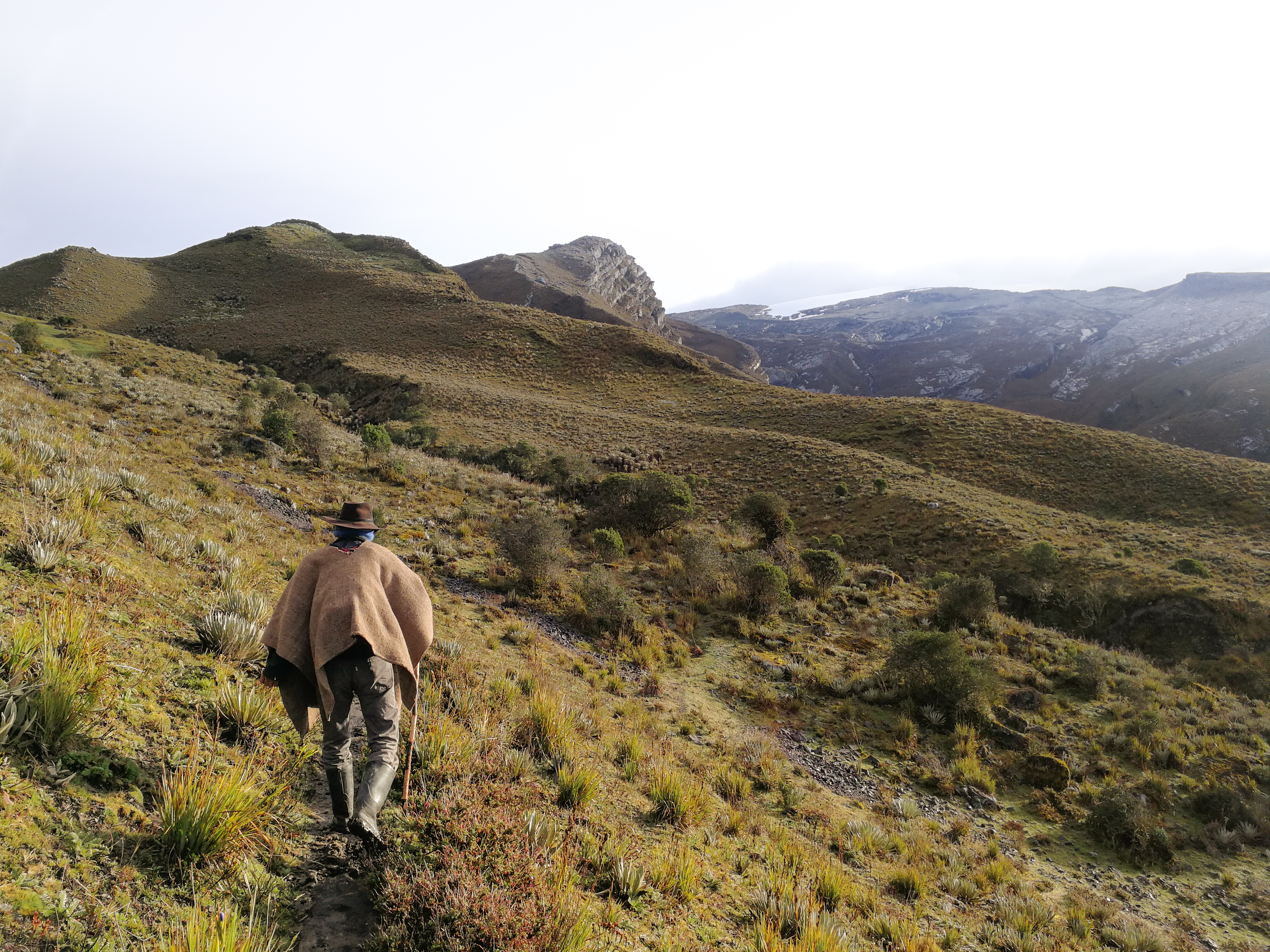 Colombia_Cowboy