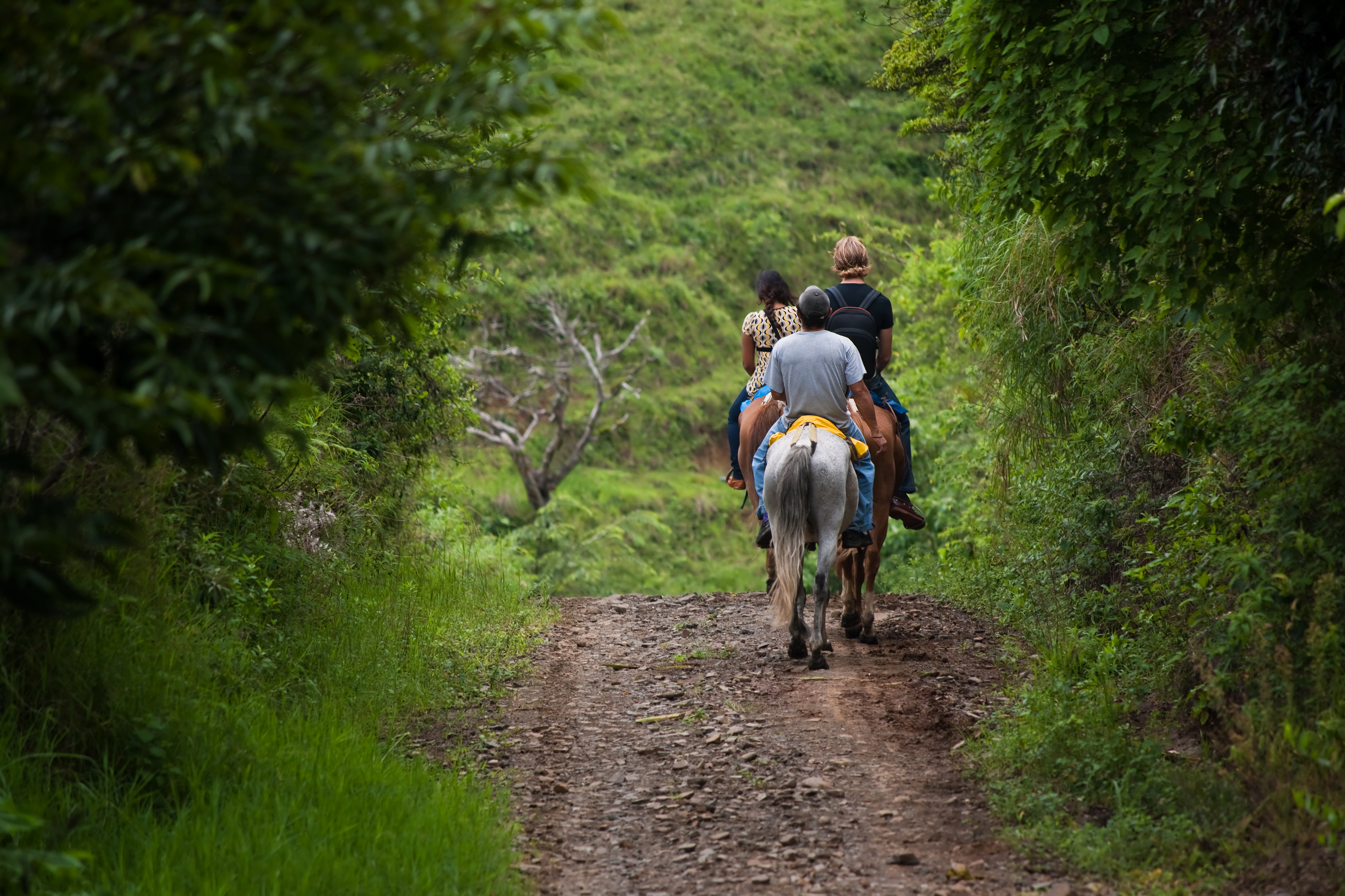 Costa_Rica_Monteverde_Horse_Riding