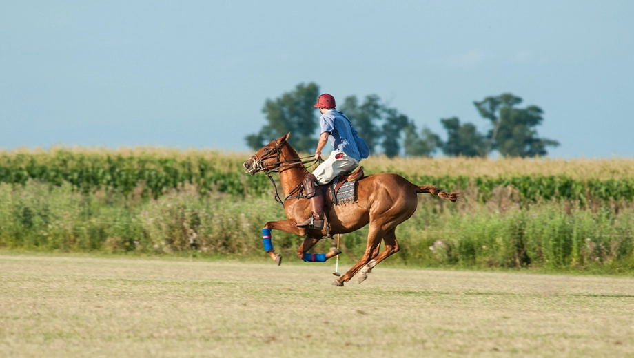 Playing polo, The Pampas