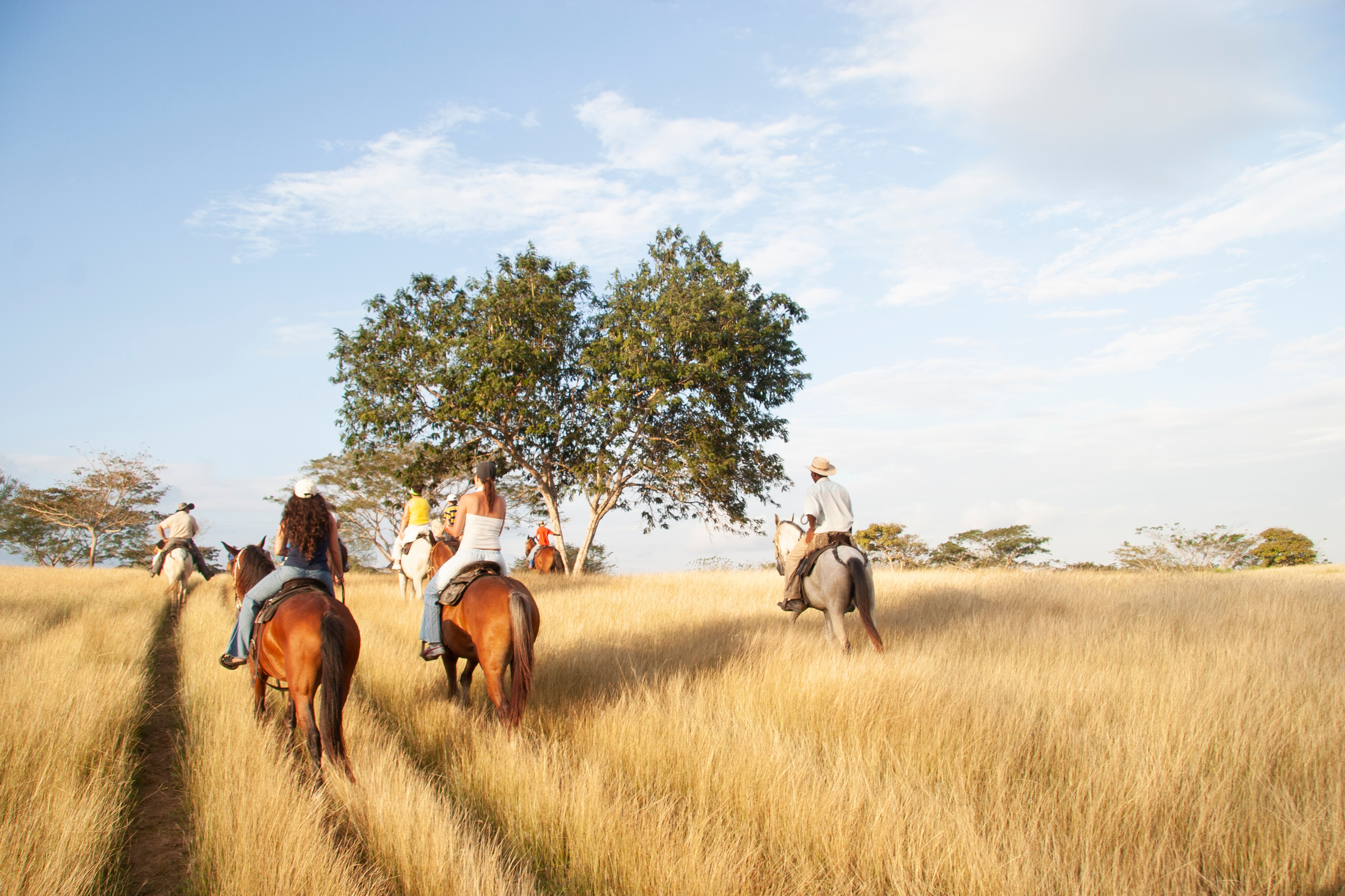 Colombia_Horseriding_Llanero_Culture