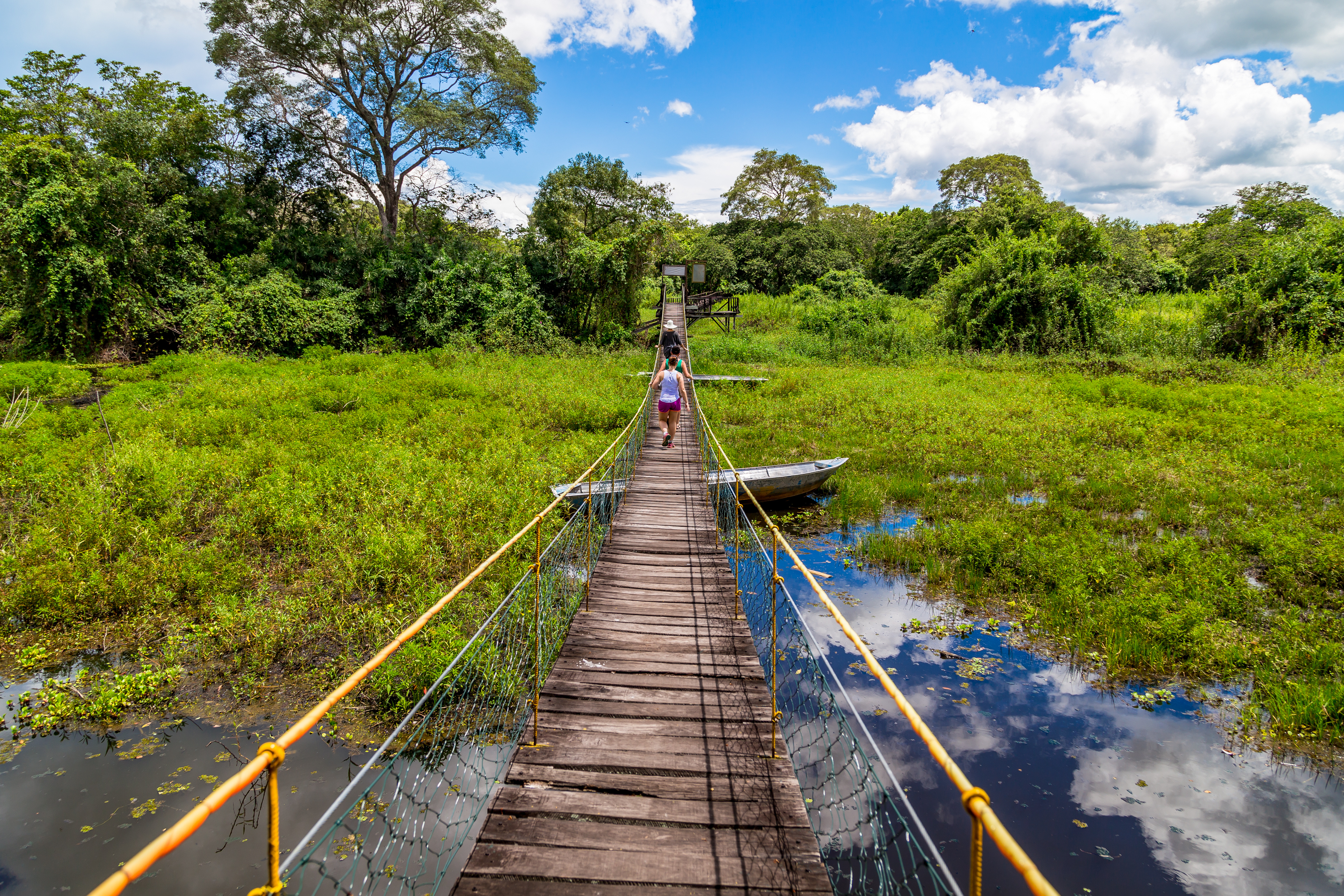 Brazil_Pantanal_Walkway