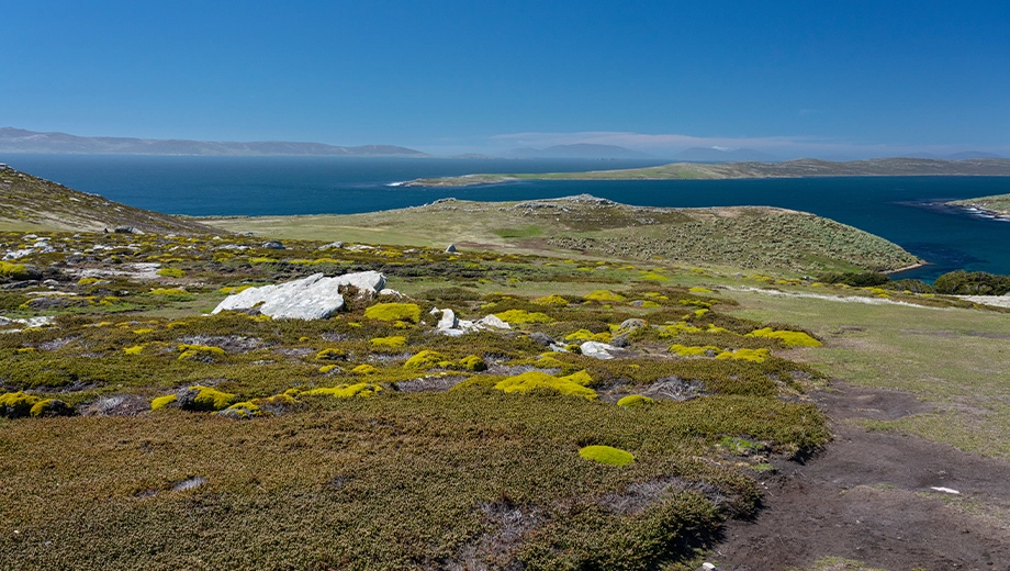 Falklands_West Point Island