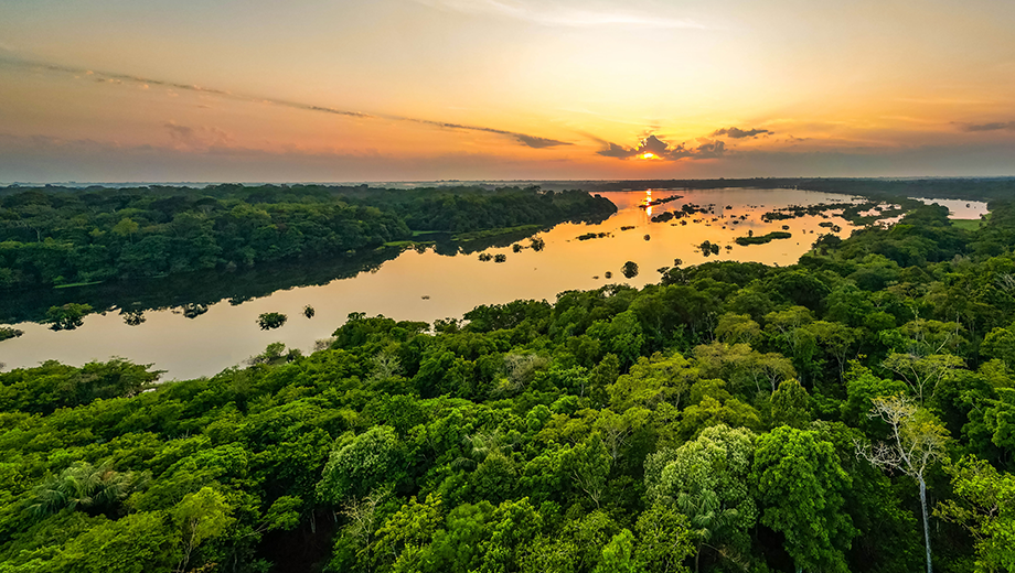 Amazon Sunset