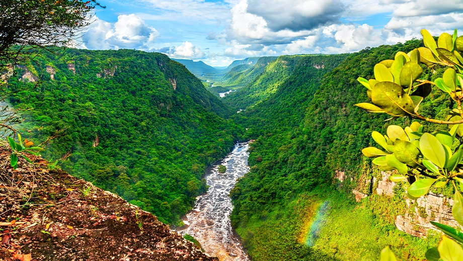 Potaro river valley under Kaieteur Falls