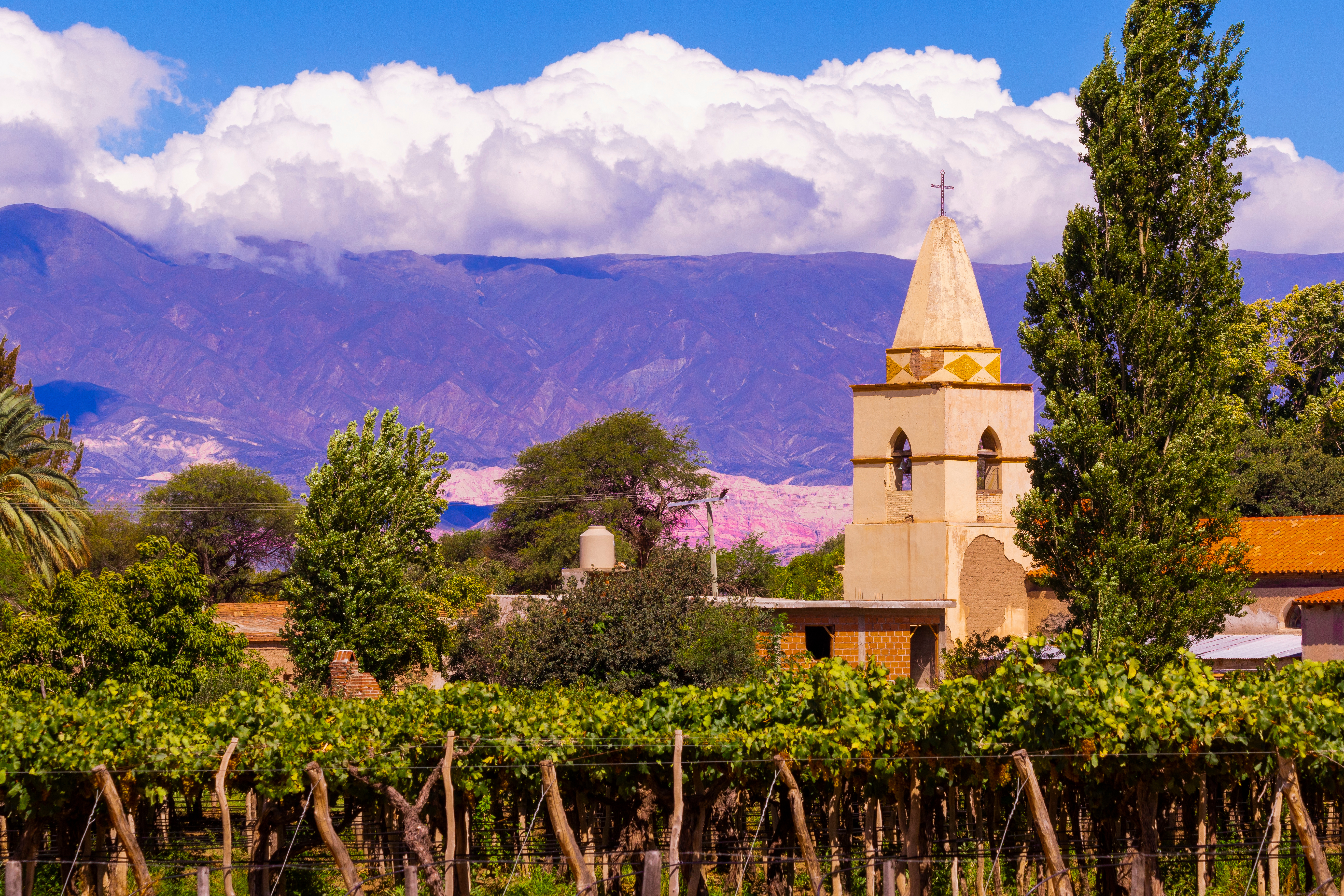 Argentina_Chapel_In_Cafayate_Vineyard