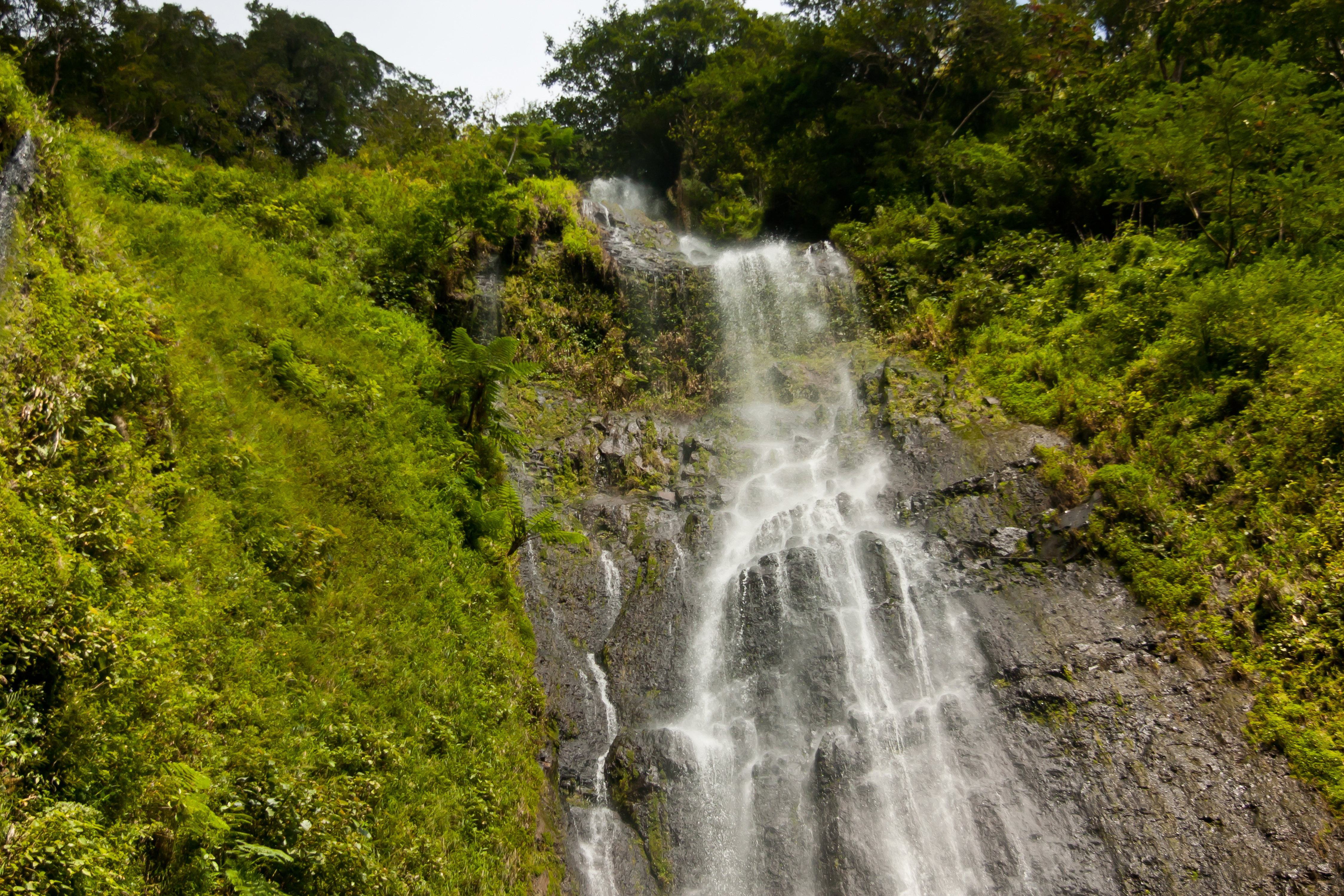 Nicaragua Ometepe Island Waterfall San Ramon