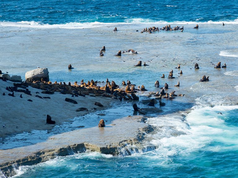 800x600_peninsula_Valdes - Latin Routes