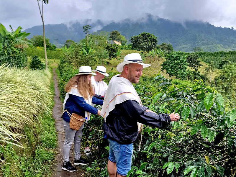 latin america travel brochure